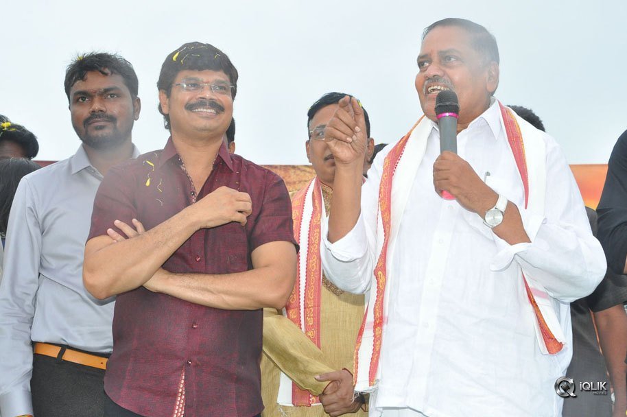 Jaya-Janaki-Nayaka-Movie-Vijayotsava-Veduka-At-Hamsala-Deevi